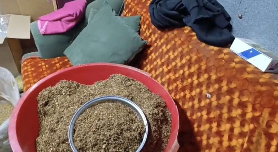 Saskarya'da kaçak tütün operasyonu