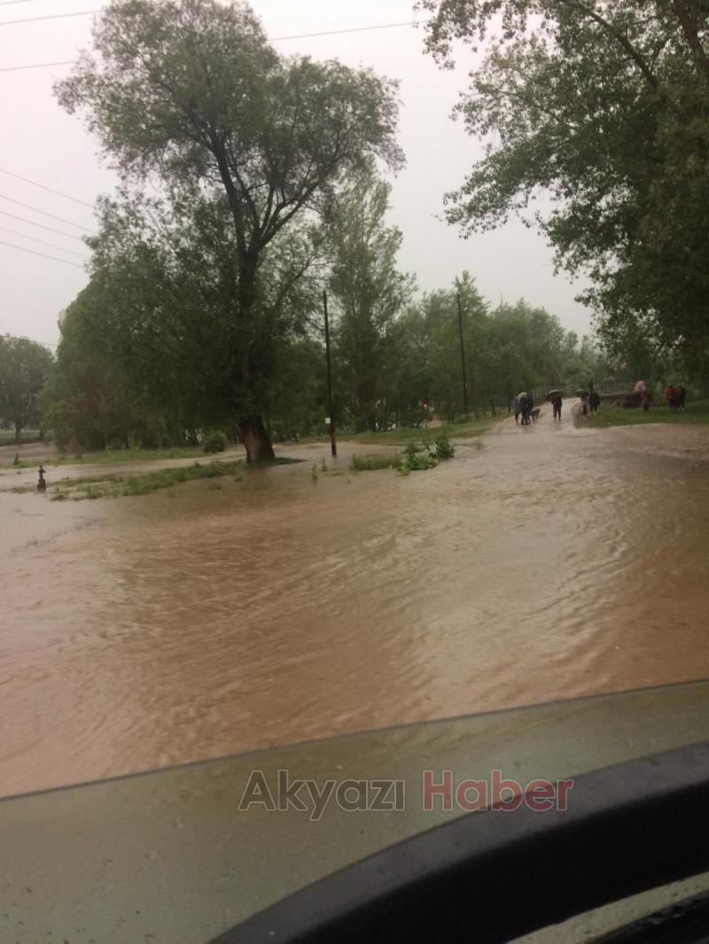 SEDAŞ’ın Enerji Verme Mücadelesi