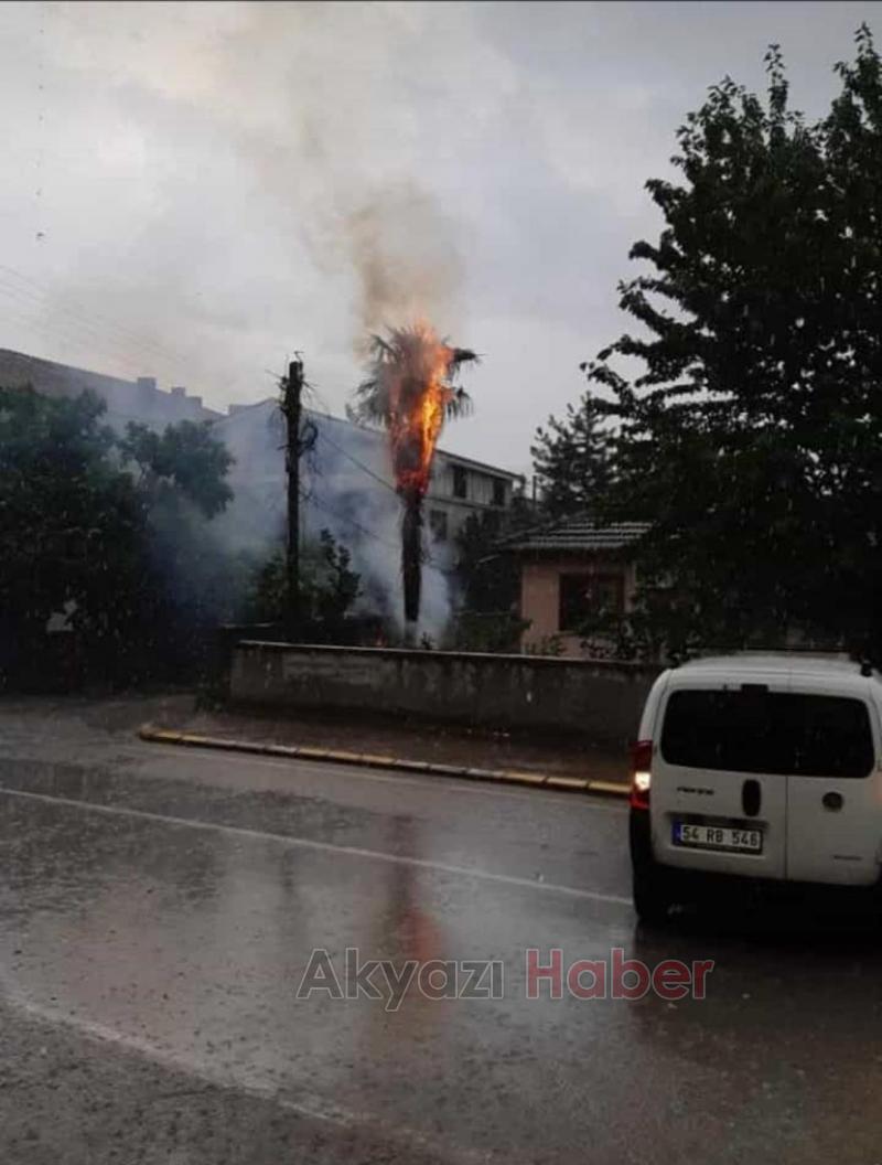 SEDAŞ’ın Enerji Verme Mücadelesi