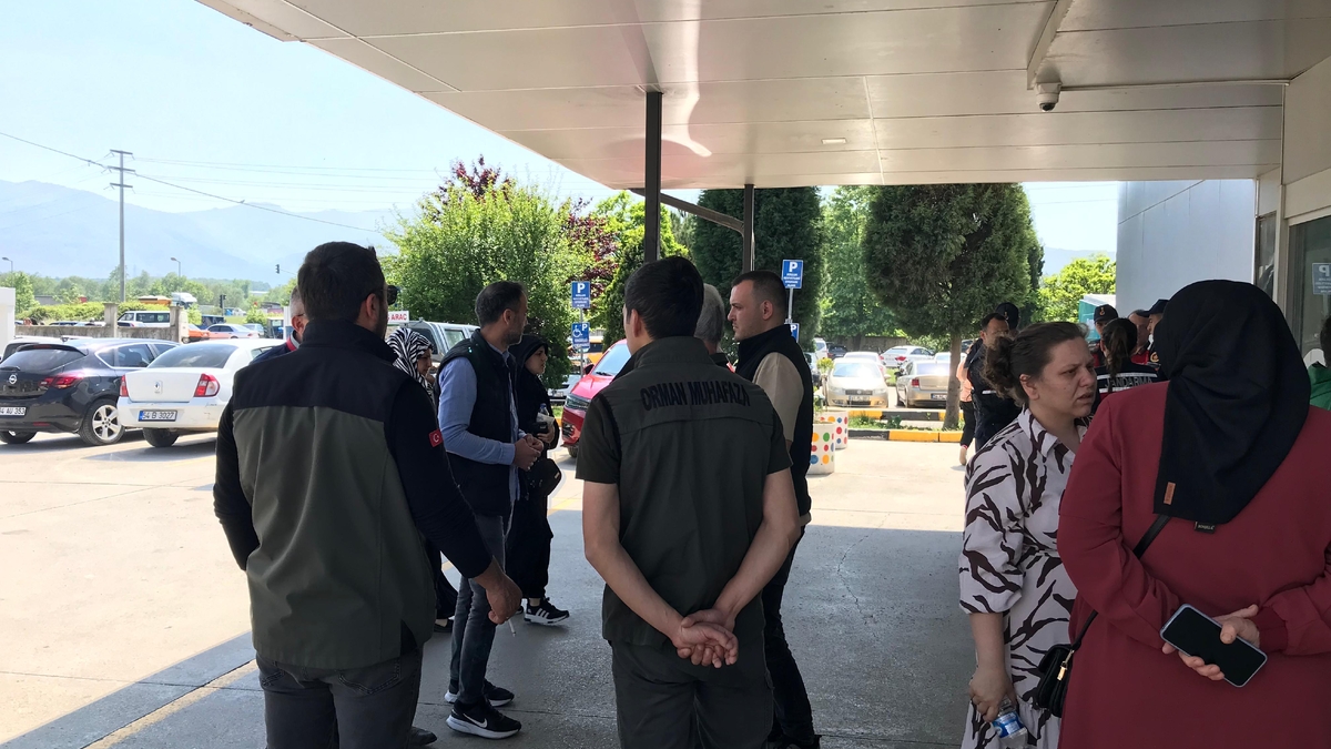 Şehit orman işçilerine vefa: İsimleri ormanlarda yaşasın