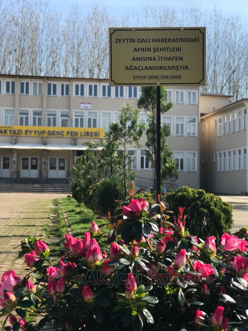 Şehitlerimiz Adına Fidan Diktiler