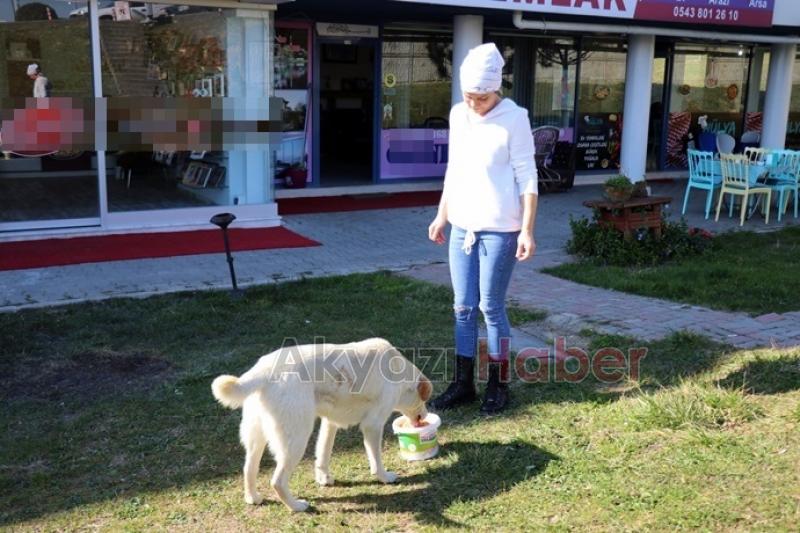 Şehrin ilk hayvan dostu kafesi Pati Kafe açıldı