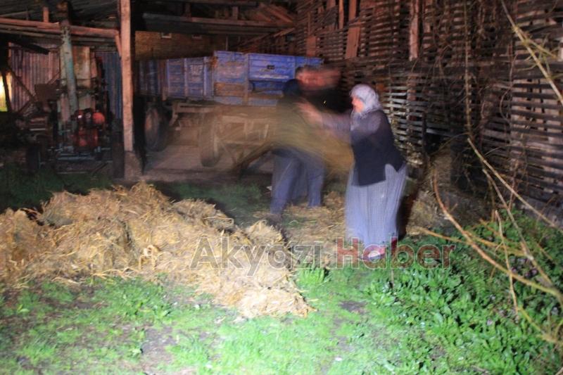 Seyfelerde Samanlık Yangını