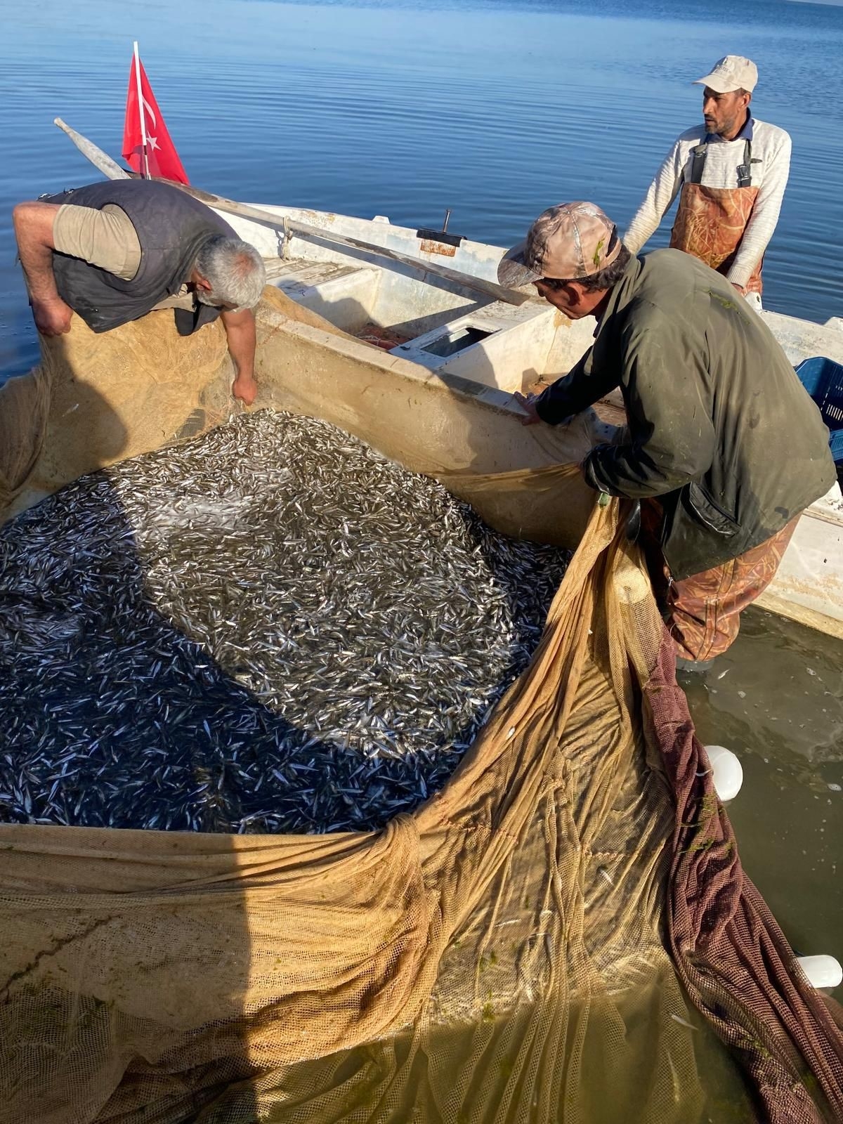 Sezonu açıldı; Tonlarca avladılar