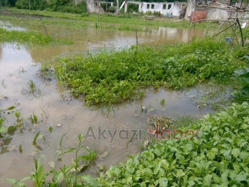 Şiddetli Yağış Bahçelere Zarar Verdi