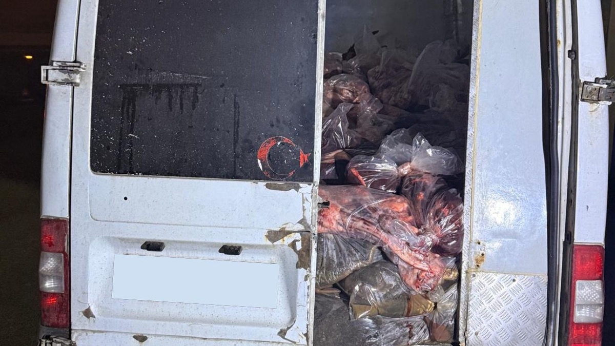 Skandal; 3 ton ete el kondu