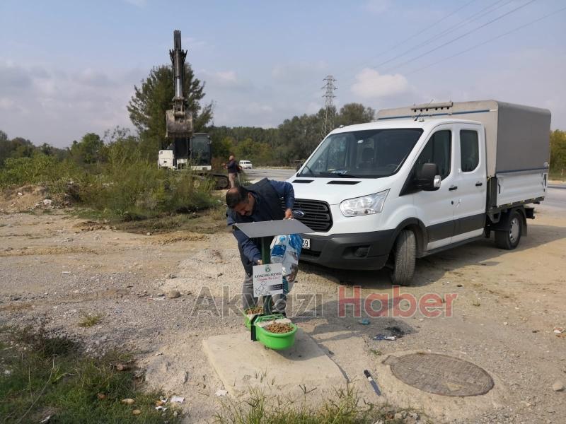 SOĞUK HAVALARDA SOKAK HAYVANLARI AÇ KALMAYACAK