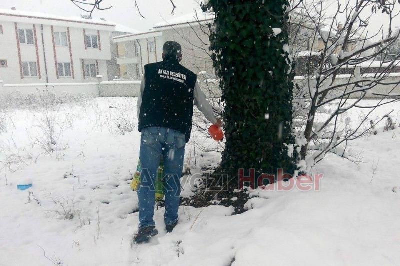 Sokak Hayvanları Sahipsiz Değil