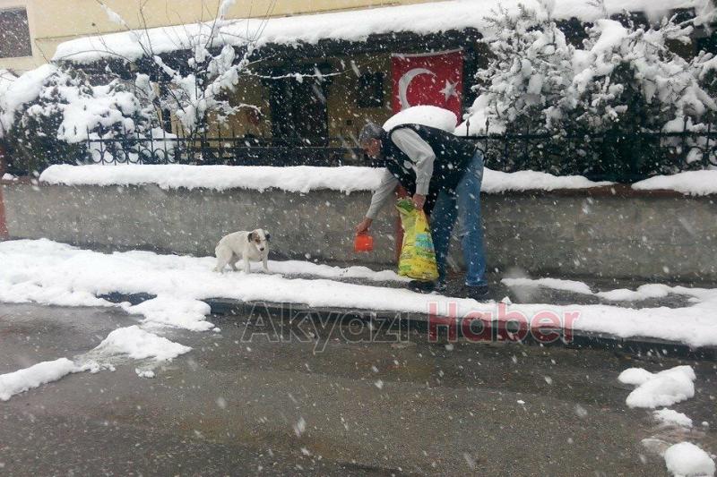 Sokak Hayvanları Sahipsiz Değil
