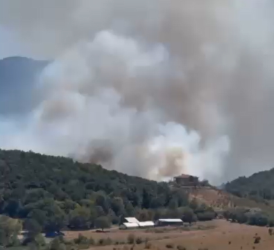SON DAKİKA Hendek’te Orman Yangını!