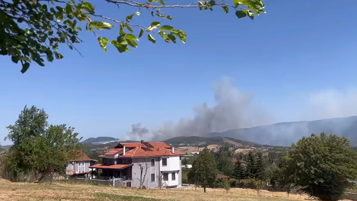 SON DAKİKA Hendek’te Orman Yangını!