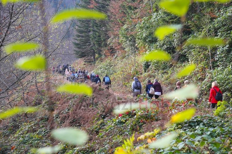 Sonbahar Doğa Yürüyüşleri sona erdi