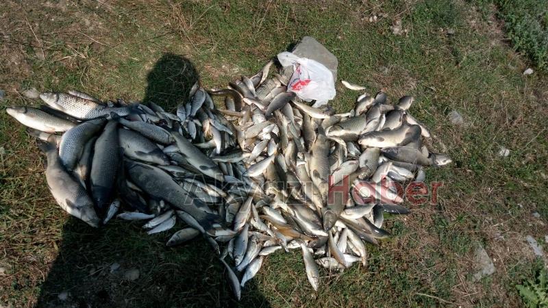 Sorumluları göreve davet ediyoruz