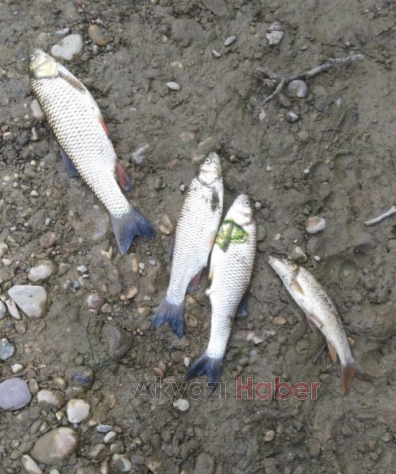 Sorumluları göreve davet ediyoruz