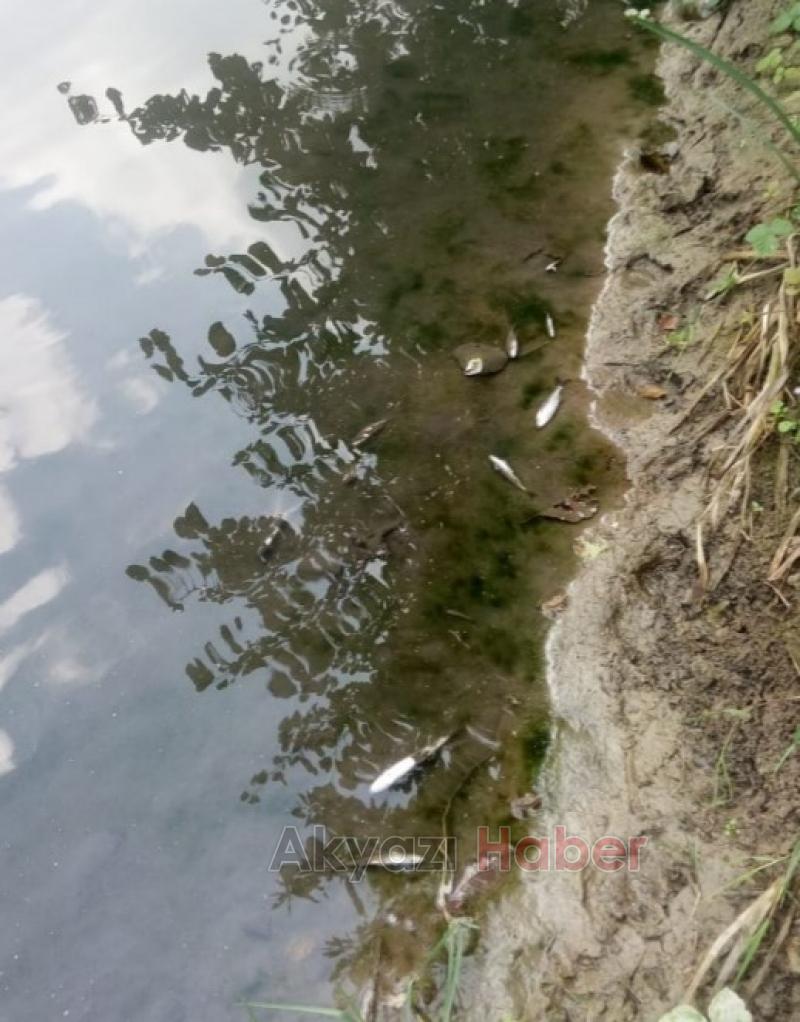 Sorumluları göreve davet ediyoruz