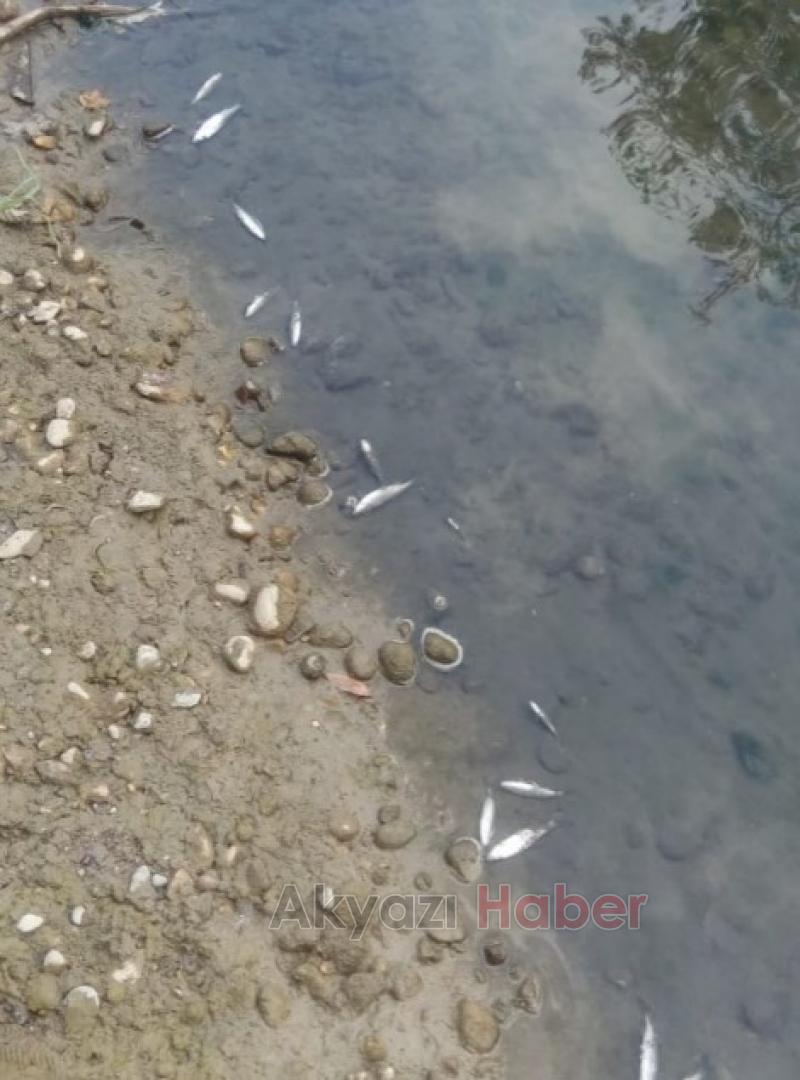 Sorumluları göreve davet ediyoruz