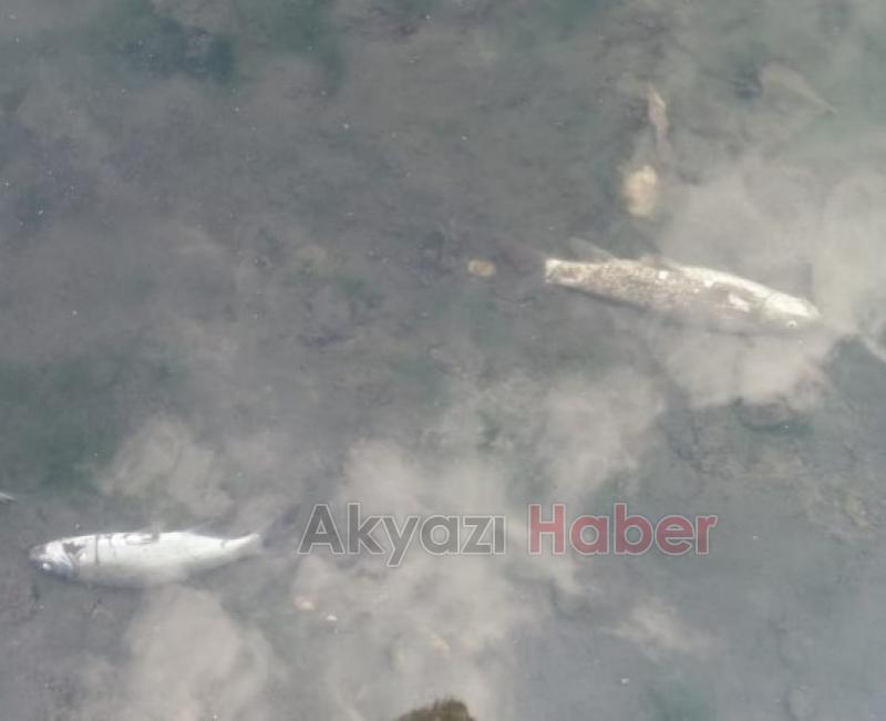 Sorumluları göreve davet ediyoruz