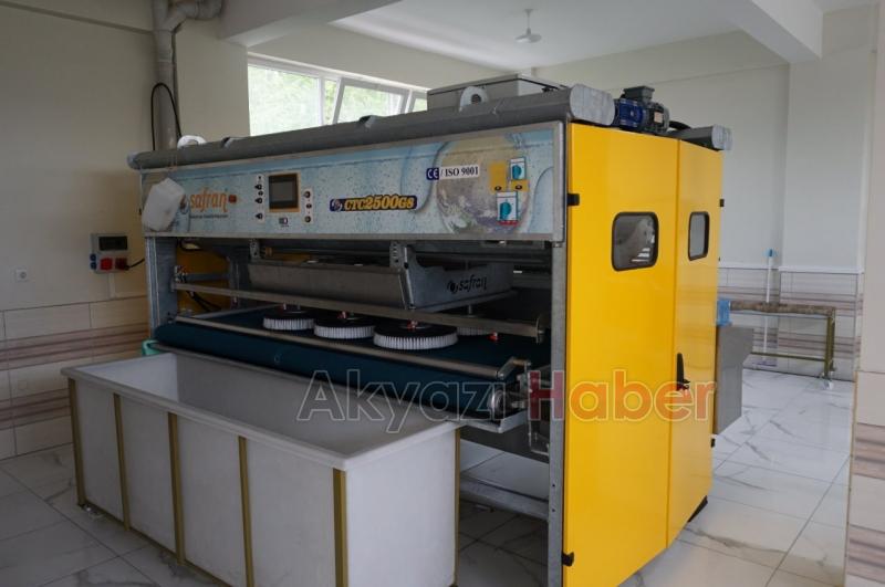 Soylu Halı Yıkama Hizmetinizde