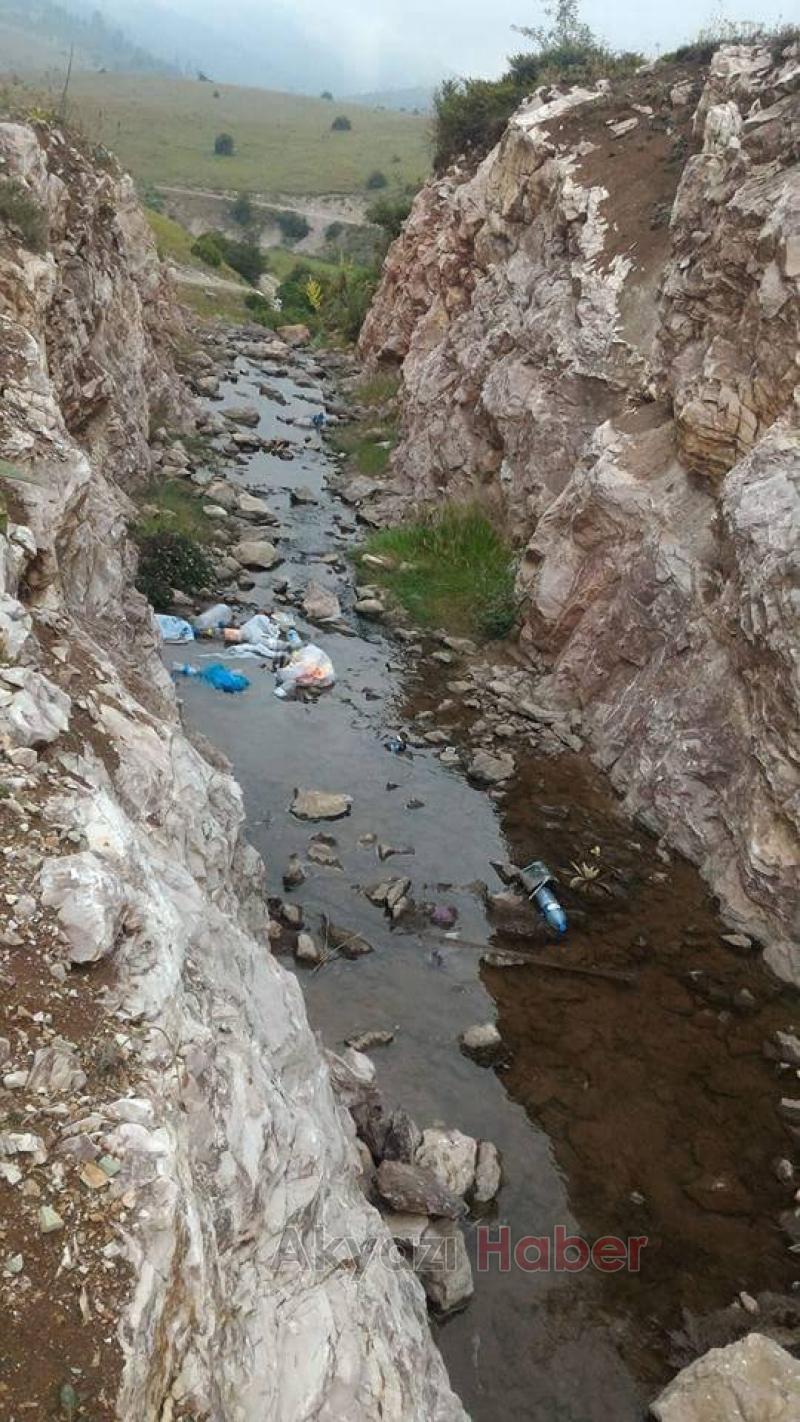 Sultan Pınar Yaylasında Balıklar Ölüyor