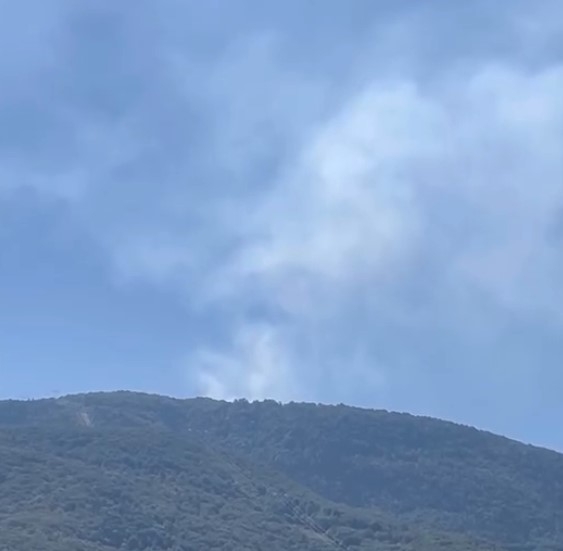 Susuz Yaylası'nda orman yangını çıktı