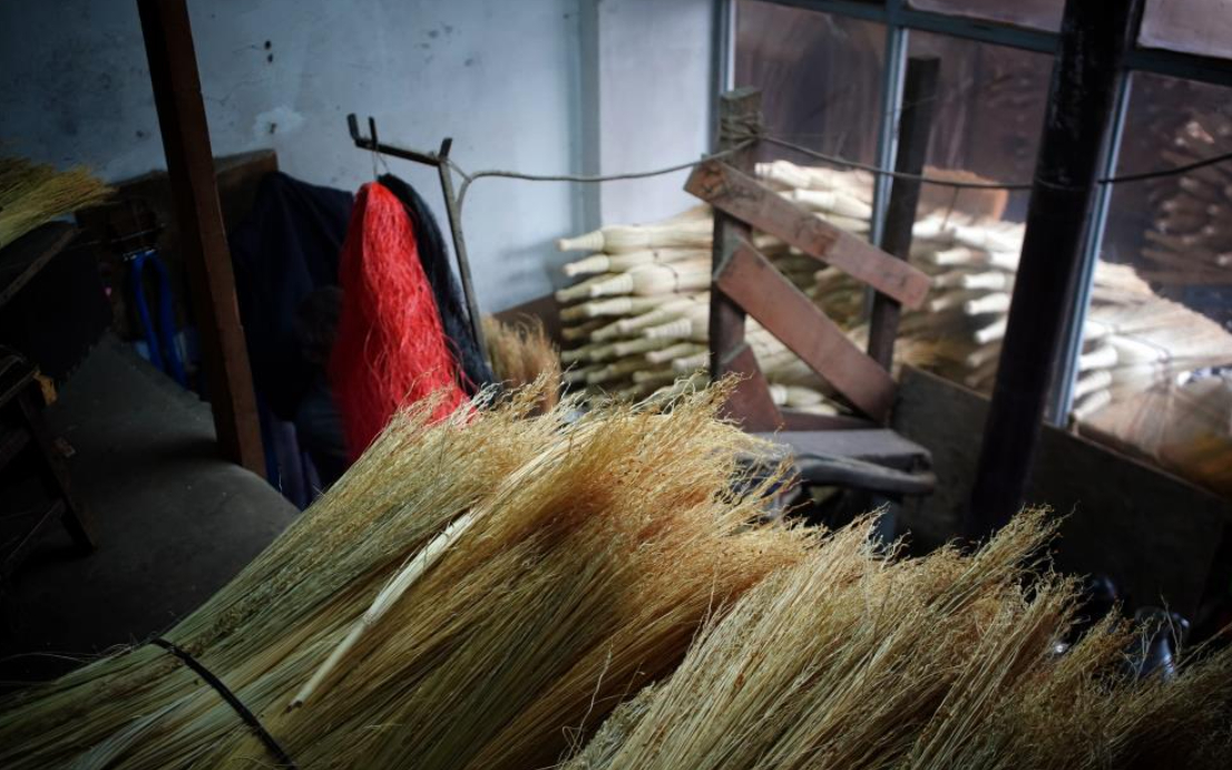 Tanesi 150 lira; Teknolojiye direniyor