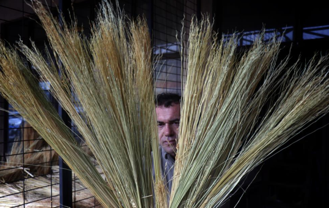 Tanesi 150 lira; Teknolojiye direniyor