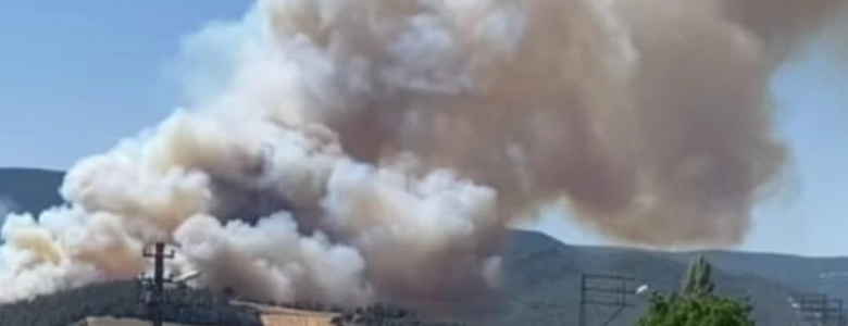 Taraklı'da orman yangını