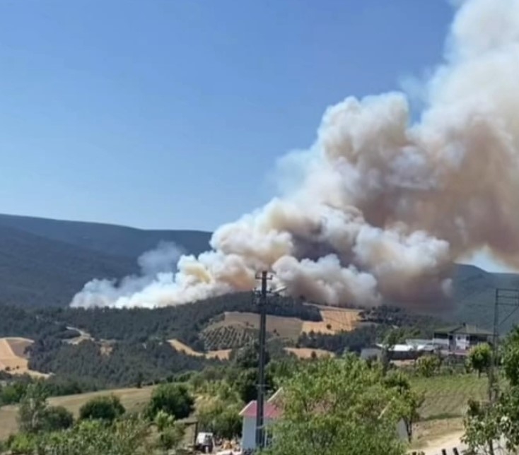 Taraklı'daki orman yangınında son durum