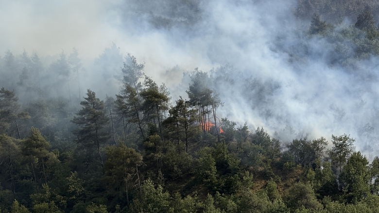 Sakarya'daki orman yangınıyla ilgili gözaltına alınanlar için önemli gelişme