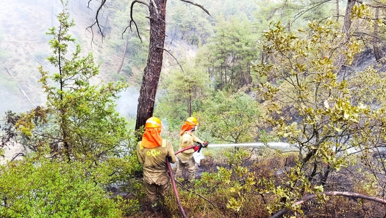 Sakarya'daki orman yangınıyla ilgili gözaltına alınanlar için önemli gelişme