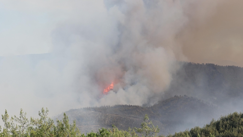 Sakarya'daki orman yangınıyla ilgili gözaltına alınanlar için önemli gelişme