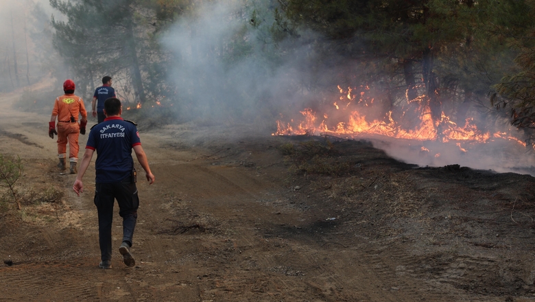 Sakarya'daki orman yangınıyla ilgili gözaltına alınanlar için önemli gelişme
