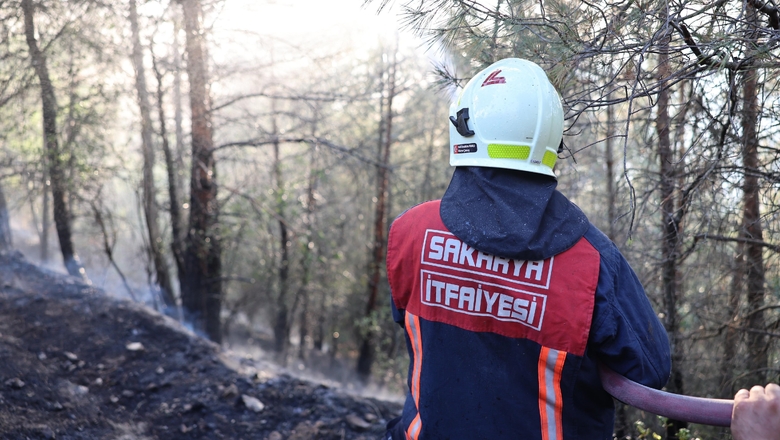 Sakarya'daki orman yangınıyla ilgili gözaltına alınanlar için önemli gelişme