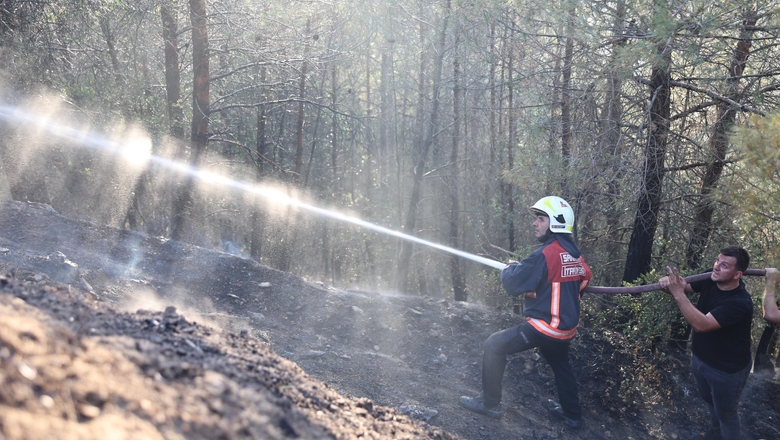 Sakarya'daki orman yangınıyla ilgili gözaltına alınanlar için önemli gelişme