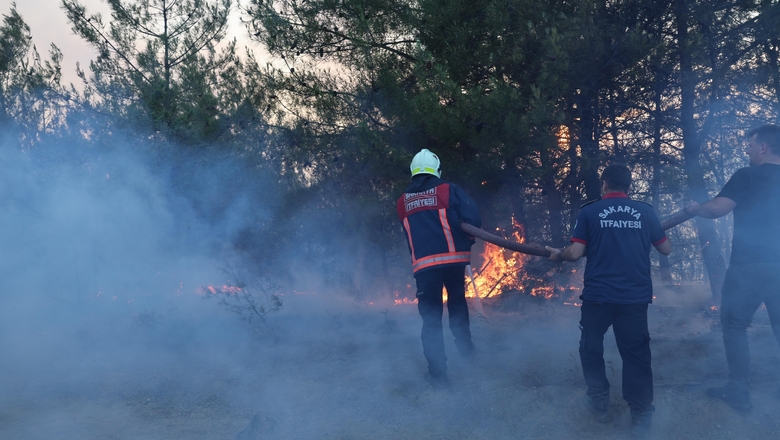 Sakarya'daki orman yangınıyla ilgili gözaltına alınanlar için önemli gelişme