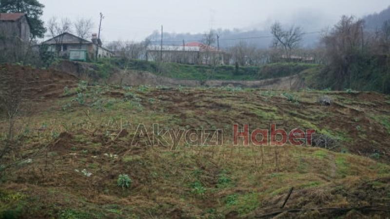 Taşburun da Heyelan