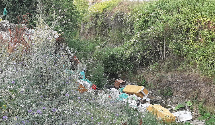 Taşburun'da tepki çeken görüntü