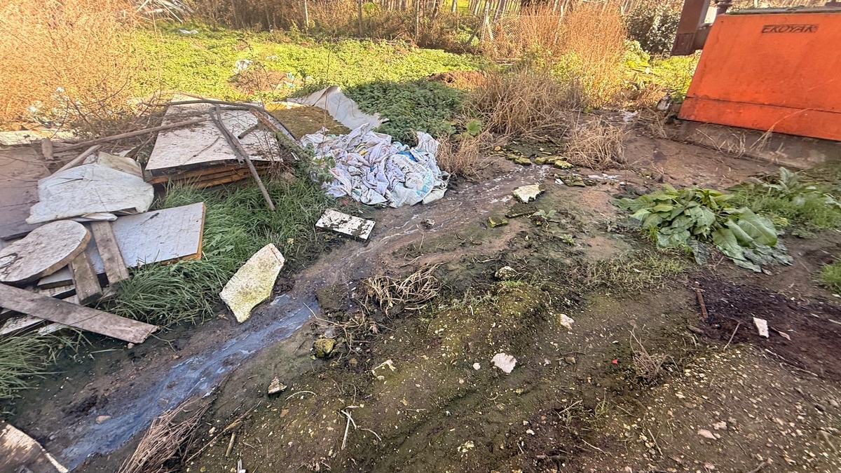 Tavuk çiftliğinde skandal görüntüler