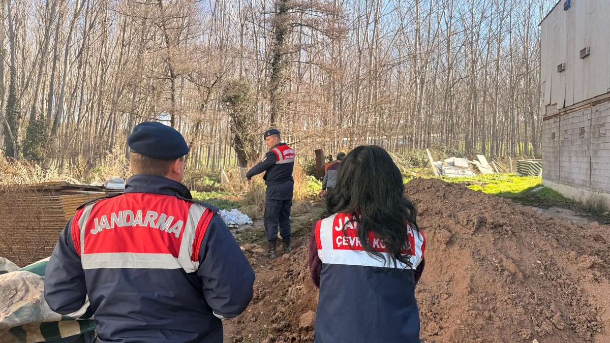 Tavuk çiftliğinde skandal görüntüler