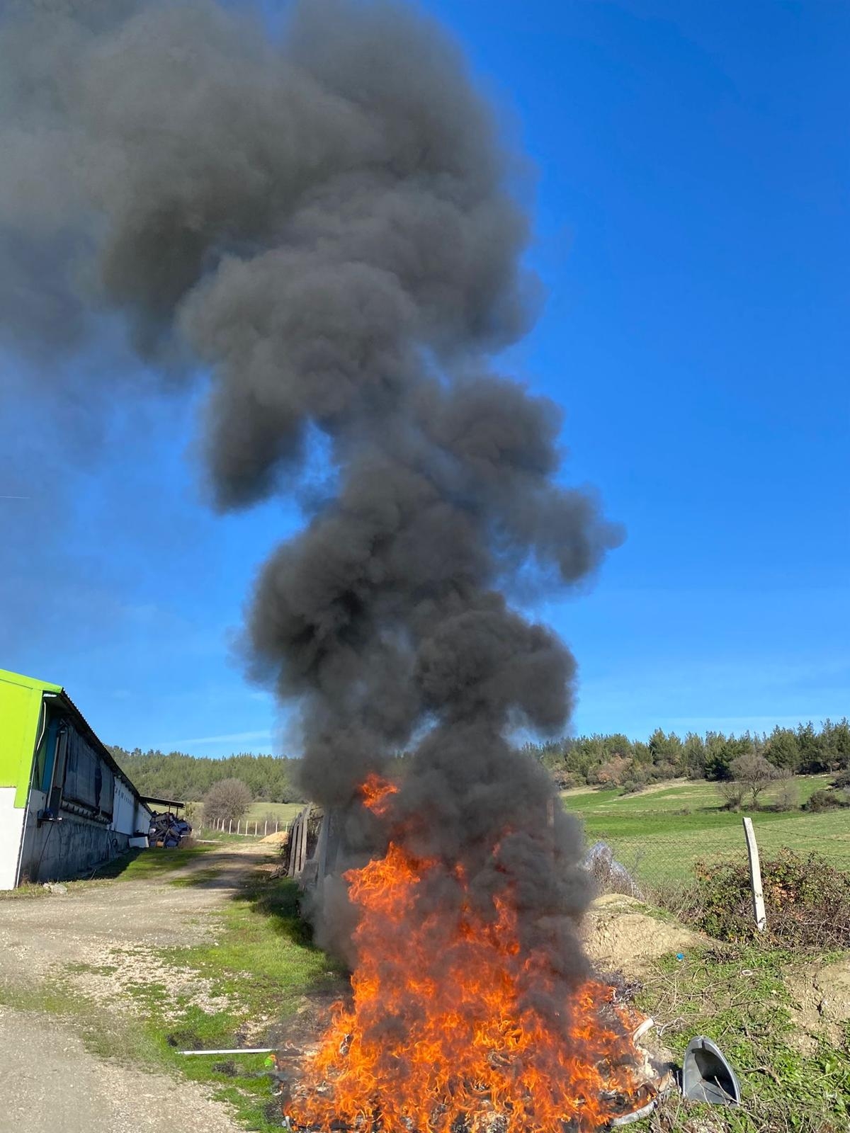 Tavuk çiftliğinde skandal görüntüler
