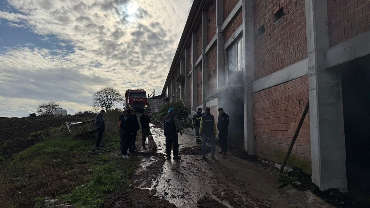 Tavuk çiftliğinde yangın