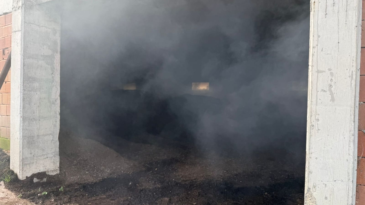 Tavuk çiftliğinde yangın