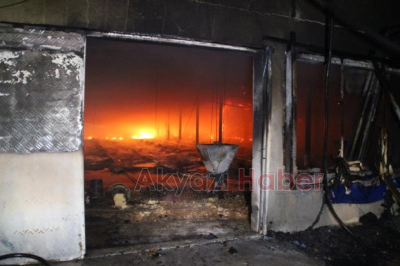  Tavuk Çiftliğinde Yangın