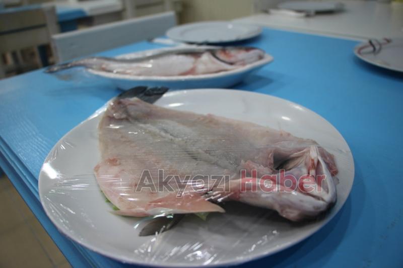 Taze Balık Çeşitleri Oltada Yenir