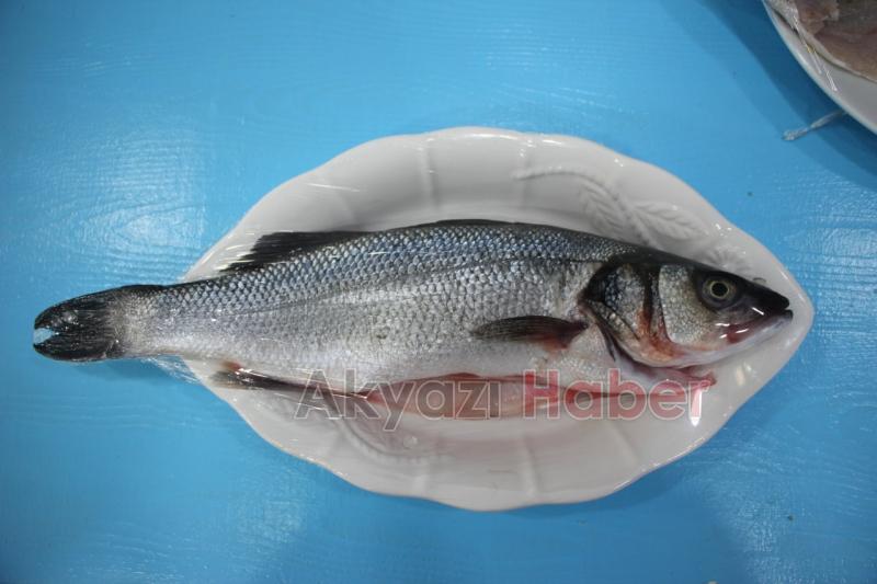 Taze Balık Çeşitleri Oltada Yenir