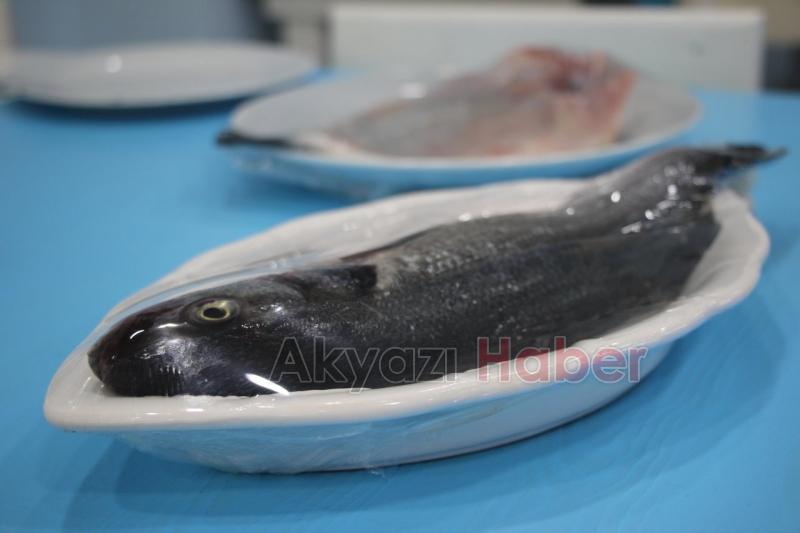 Taze Balık Çeşitleri Oltada Yenir