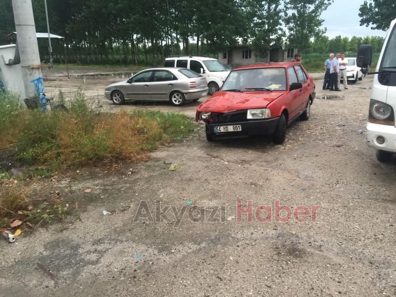 Telef olmasın diye kaza yerinde kestiler