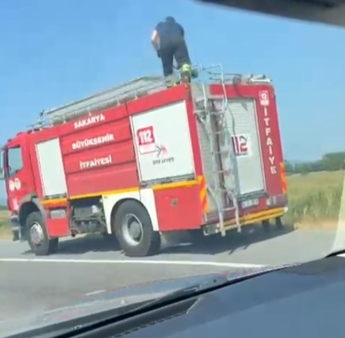 TEM kavşağı yakınında çıkan yangın korkuttu