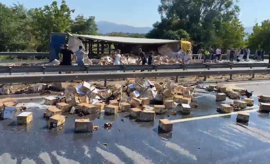 TEM Otoyolu’nda feci kaza