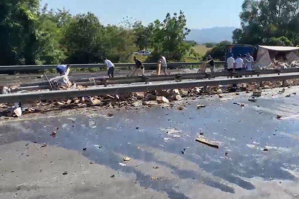 TEM Otoyolu’nda feci kaza